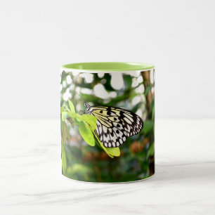 Schmetterling Zweifarbige Tasse