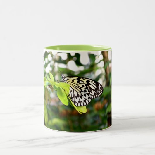 Schmetterling Zweifarbige Tasse (Mittel)