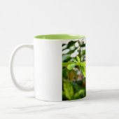 Schmetterling Zweifarbige Tasse (Links)