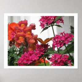 Schmetterling zwischen rosa und orange Blume Poster