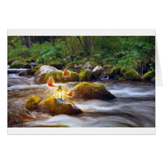 Schmetterlinge (Vorderseite (Horizontal))