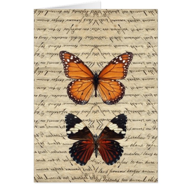 Schmetterlinge (Vorne)