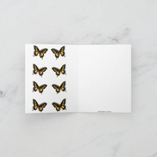 Schmetterlinge (Innenseite)