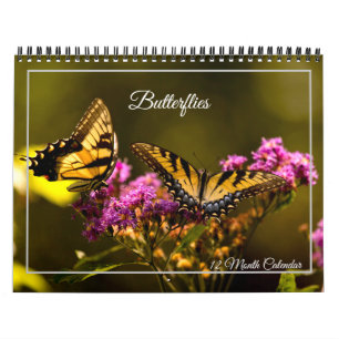Schmetterlinge 12-Monats-Kalender Kalender