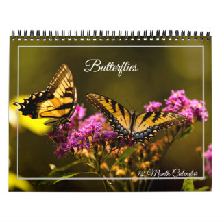 Schmetterlinge 12-Monats-Kalender Kalender