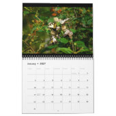 Schmetterlinge 12-Monats-Kalender Kalender (Jan 2027)
