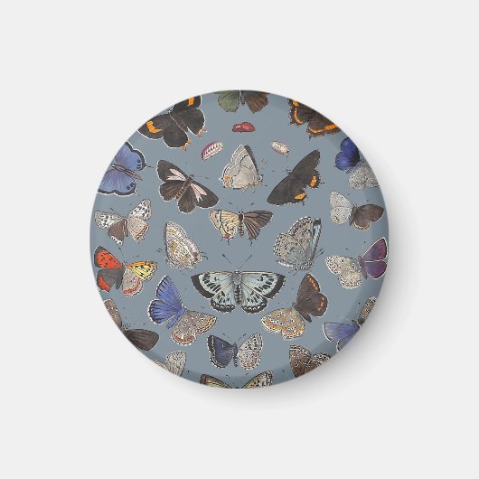 Schmetterlinge, 1842 magnet (Vorne)