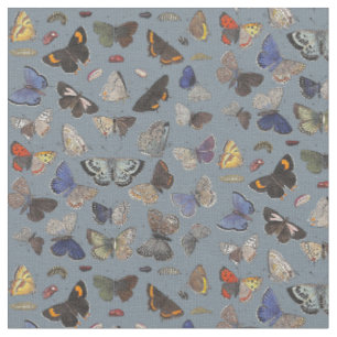 Schmetterlinge, 1842 stoff