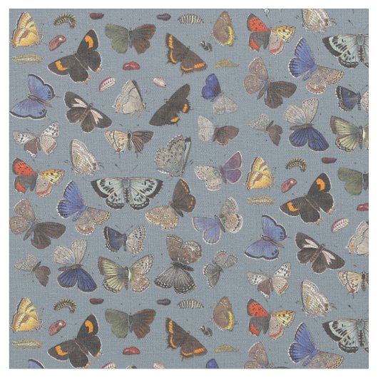 Schmetterlinge, 1842 stoff (Nahaufnahme)