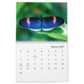 Schmetterlinge [1] Mauerkalender Kalender (Feb 2027)
