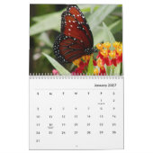 Schmetterlinge [1] Mauerkalender Kalender (Jan 2027)