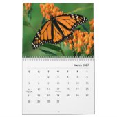 Schmetterlinge [1] Mauerkalender Kalender (Mär 2027)