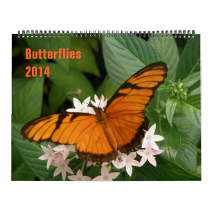 Schmetterlinge 2014-Kalender Kalender