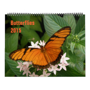Schmetterlinge 2015-Kalender Kalender