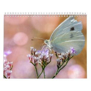Schmetterlinge 2017 kalender