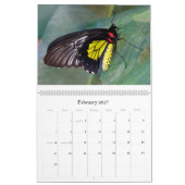 Schmetterlinge 2018 kalender (Feb 2027)