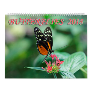 Schmetterlinge 2018 kalender