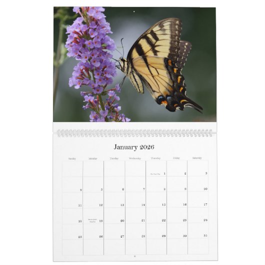 Schmetterlinge 2018 kalender (Jan 2026)