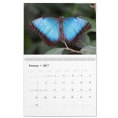 Schmetterlinge 2019 kalender (Feb 2027)