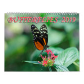 Schmetterlinge 2019 kalender (Titelbild)