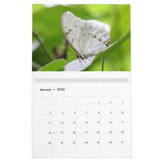 Schmetterlinge 2019 kalender (Jan 2026)