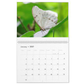 Schmetterlinge 2019 kalender (Jan 2027)