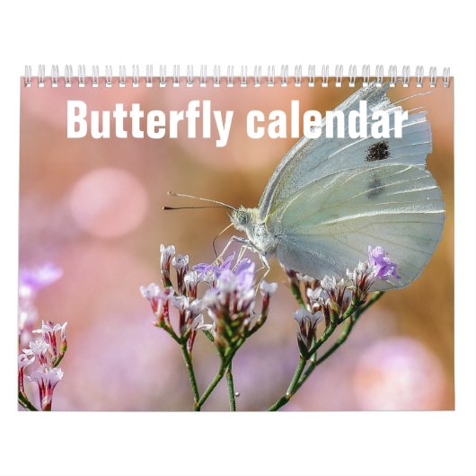 Schmetterlinge 2023 kalender (Titelbild)
