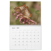 Schmetterlinge 2023 kalender (Mär 2027)