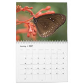 Schmetterlinge 2023 kalender (Jan 2027)