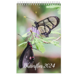 Schmetterlinge 2024-Kalender Kalender