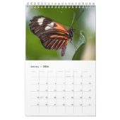 Schmetterlinge 2024-Kalender Kalender (Jan 2026)