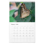 Schmetterlinge 2024-Kalender Kalender (Feb 2026)