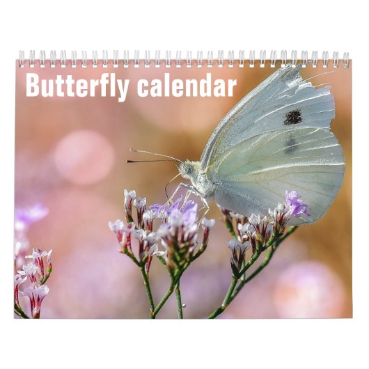 Schmetterlinge 2025 kalender (Titelbild)
