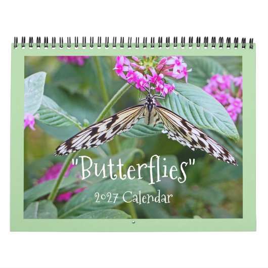 "SCHMETTERLINGE" 2026 KALENDER (Titelbild)