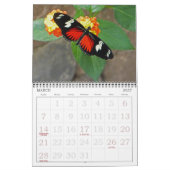 "SCHMETTERLINGE" 2026 KALENDER (Mär 2027)