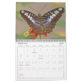 "SCHMETTERLINGE" 2026 KALENDER (Feb 2027)