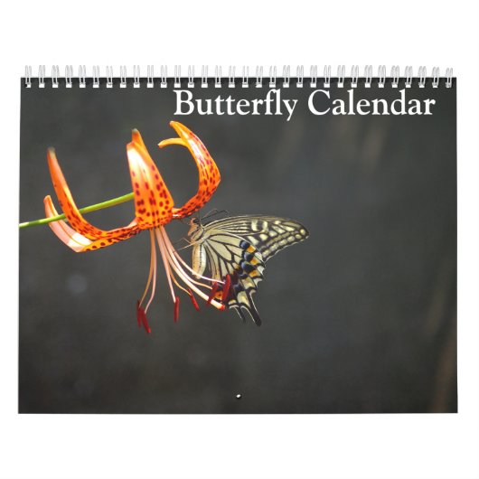 Schmetterlinge 2027 kalender (Titelbild)