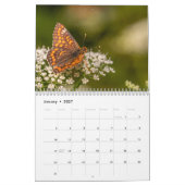 Schmetterlinge 2027 kalender (Jan 2027)