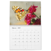 Schmetterlinge 2027 kalender (Feb 2027)