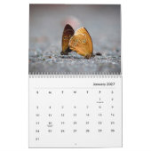 Schmetterlinge [2] Mauerkalender Kalender (Jan 2027)