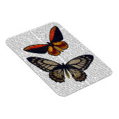 Schmetterlinge 3 magnet (Rechte Seite)