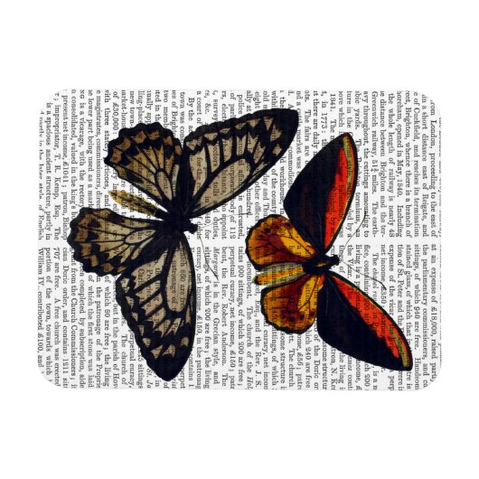 Schmetterlinge 3 magnet (Horizontal)