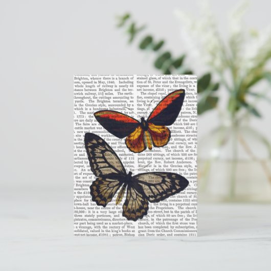 Schmetterlinge 3 postkarte (Stehend Vorderseite)