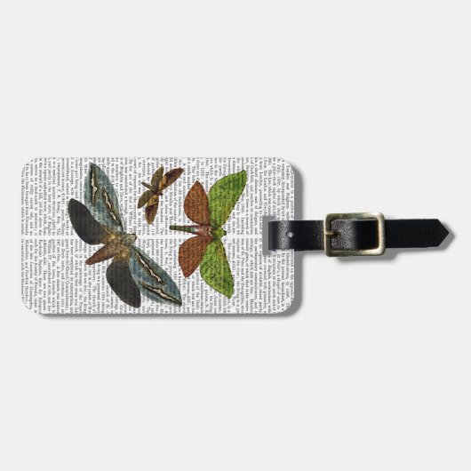 Schmetterlinge 4 gepäckanhänger (Vorderseite horizontal)