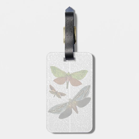 Schmetterlinge 4 gepäckanhänger (Rückseite vertikal)