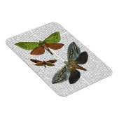 Schmetterlinge 4 magnet (Rechte Seite)