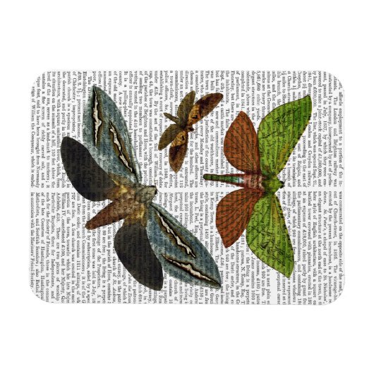 Schmetterlinge 4 magnet (Horizontal)