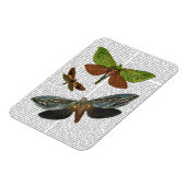 Schmetterlinge 4 magnet (Linke Seite)