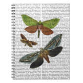 Schmetterlinge 4 notizblock (Vorderseite)