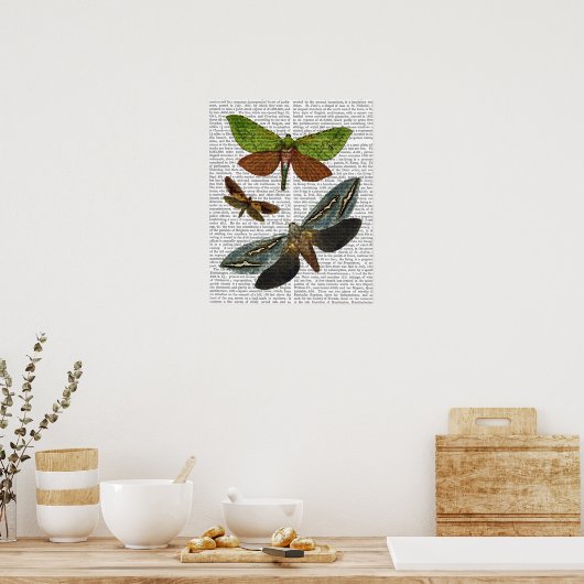 Schmetterlinge 4 poster (Küche)